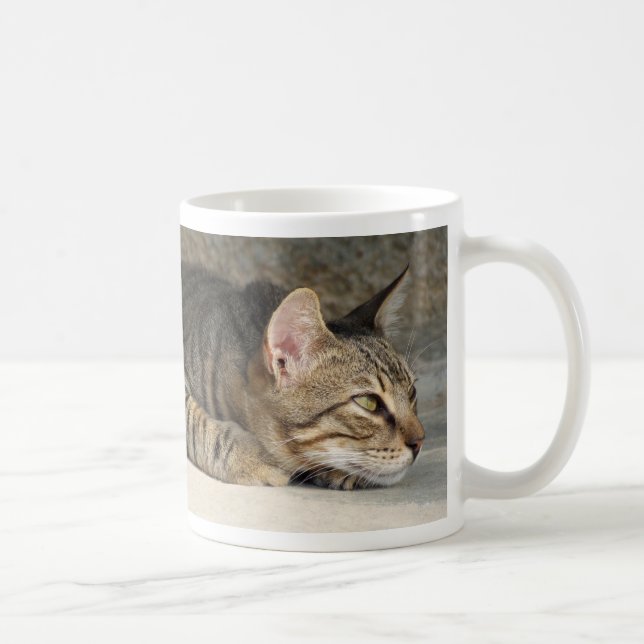 Tasse réfléchie adorable de chat tigré (Droite)