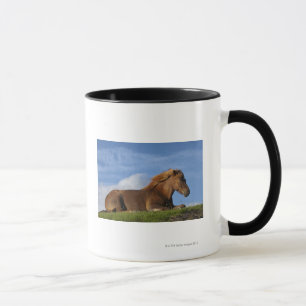 Tasse Repos islandais et ciel de cheval