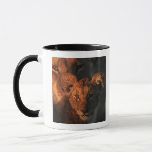 Tasse Réservation de faune de Moremi, Botswana 2