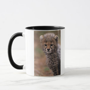 Tasse Réservation nationale de Mara de masai