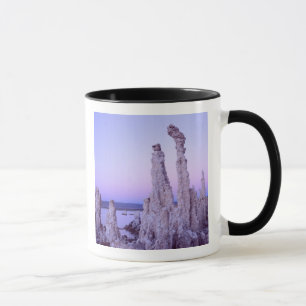 Tasse Réserve de Mono Lake. Californie. États-Unis. Tufa