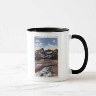 Tasse Réserve forestière de Deschutes, OU