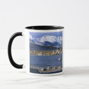 TASSE RÉSERVE NATURELLE ÉTATIQUE DE TUFA DU LAC MONO,