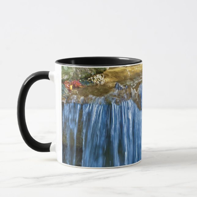 Tasse Ressort d'eau bleue (Gauche)