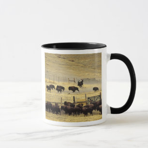 Tasse Réunion du National Bison Range dans le Montana