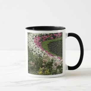 Tasse Rhododendron (Rhododendron catawbiense) Lande