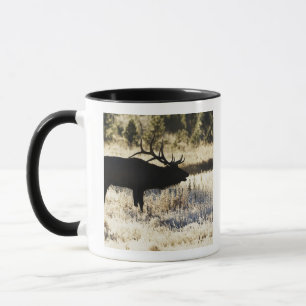 Tasse Rivière de Madison, Yellowstone NP, Wyoming,