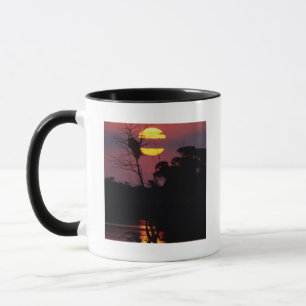 Tasse Rivière Sabi au coucher du soleil, Parc national K