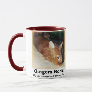 Tasse Roche de gingembres ! Lapin désapprobateur deux