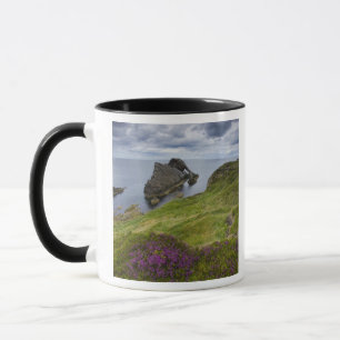 Tasse Roche de violon d'arc, Portknockie, Ecosse