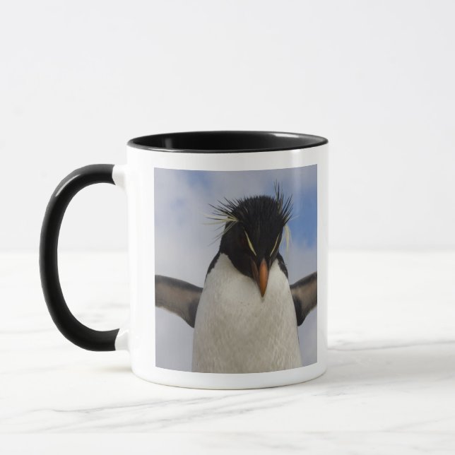 Tasse Rockhopper Penguin Eudyptes chrysocome (Gauche)
