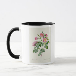 Tasse Rosa Mollissima, des 'roses de Les