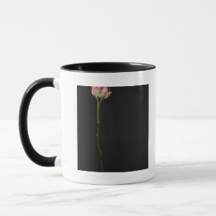 Tasse Rose 3 de rose