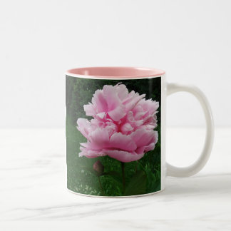Tasse rose de pivoine