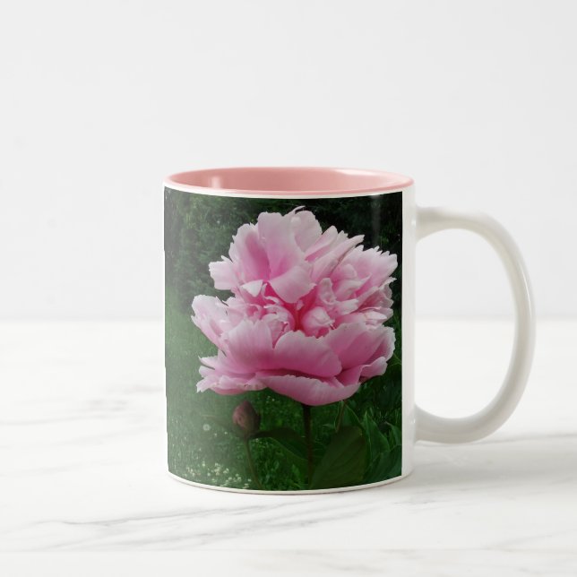 Tasse rose de pivoine (Droit)