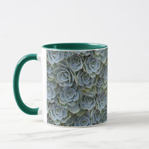 TASSE ROSETTES DE PLANTE SUCCULENTE GRIS VERT