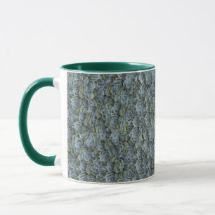 TASSE ROSETTES DE PLANTE SUCCULENTE GRIS VERT