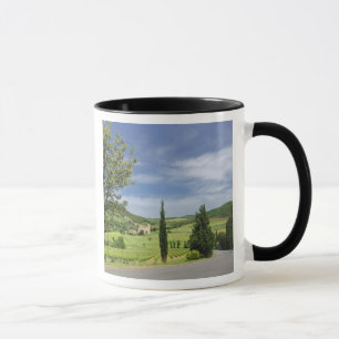 Tasse Route de campagne sinueuse entre des cyprès en