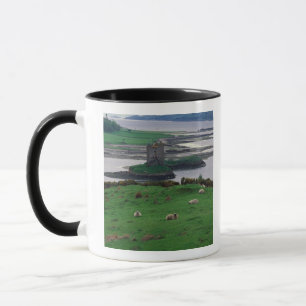 Tasse Royaume-Uni, Écosse, île de Skye, vieux