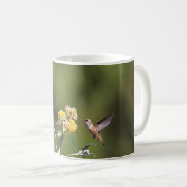 Tasse Rufous de colibri