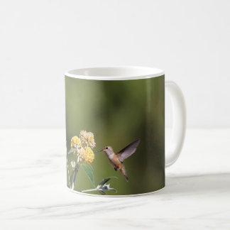 Tasse Rufous de colibri