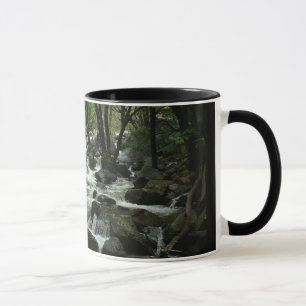 Tasse Ruisseau Bridalveil dans le parc national de Yosem