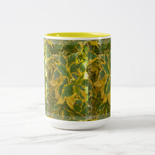 Tasse RZ-27