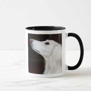Tasse Saluki recherchant