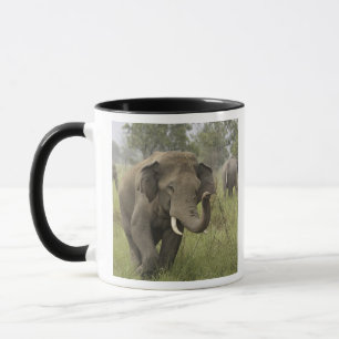 Tasse Salutation des éléphants d'Asie indienne