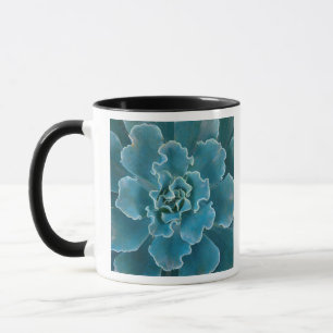 Tasse San Francisco California Golden Gate Park et