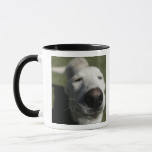 Tasse Santa Fe, Nouveau-Mexique