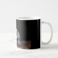Tasse sautante d'araignée