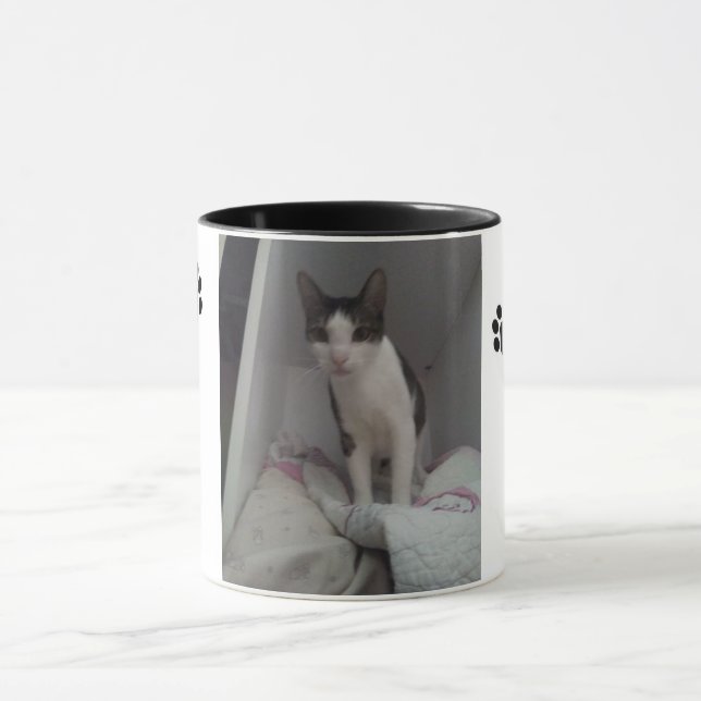 Tasse schöne Katze (Zentrum)