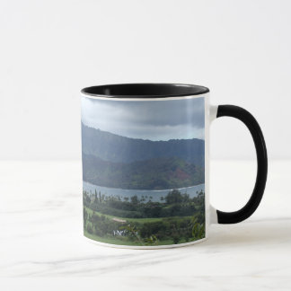 TASSE SEULEMENT DANS KAUAI