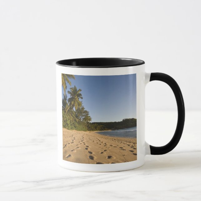 Tasse Seychelles, île de Mahe, plage d'Anse Takamaka, 2 (Droite)