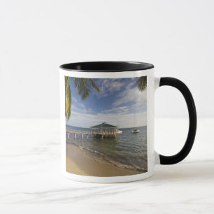 Tasse Seychelles, île de Praslin, Anse Bois de Rose,