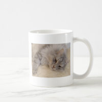 Tasse sibérienne de chat