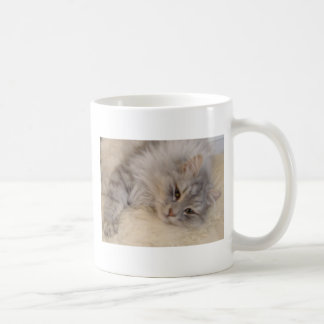 Tasse sibérienne de chat