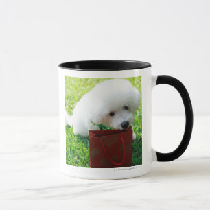 Tasse Singapour 7