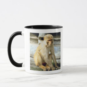 Tasse Singe