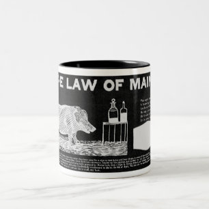 Tasse sobre du Maine