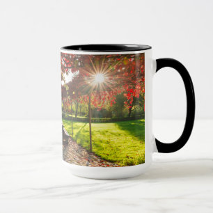 Tasse Soleil à travers les feuilles d'automne, Croatie