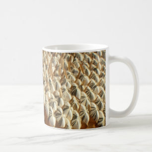 Tasse - Sonnenblumenkerngeometrie
