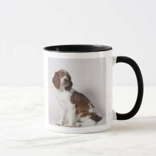 Tasse Springer spaniel