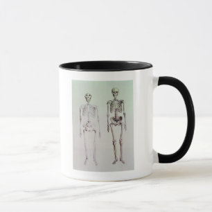 Tasse Squelettes des australopithèques Boisei
