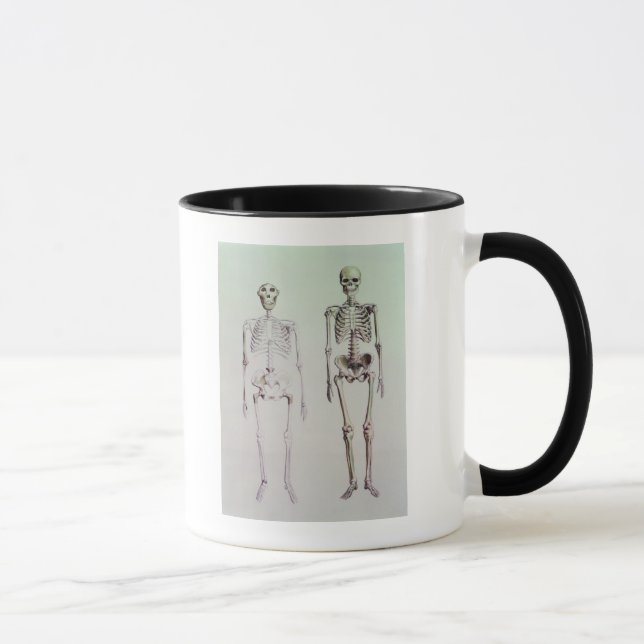 Tasse Squelettes des australopithèques Boisei (Droite)