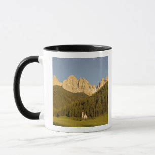 Tasse St Giovanni, Val di Funes, Dolomites, Italie