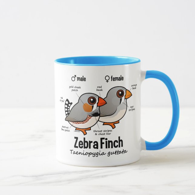 Tasse Statistiques de pinson de zèbre (Droite)