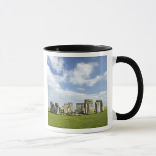 Tasse Stonehenge (environ 2500 avant J.-C.), UNESCO Patr