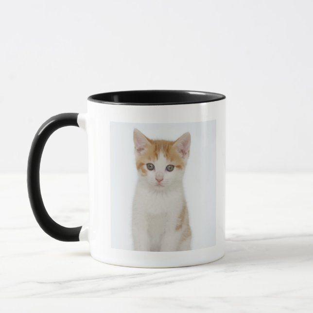 Tasse Studio tiré du chaton (Gauche)